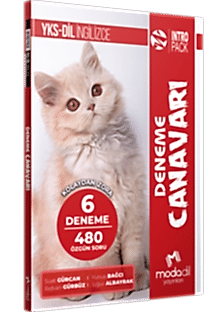 YKS-DİL INTROPACK - DENEME CANAVARI (6 DENEME)